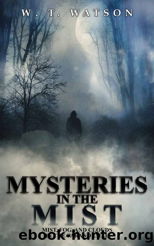 Mysteries in the Mist: Mist, Fog, and Clouds in the Paranormal by Watson W.T