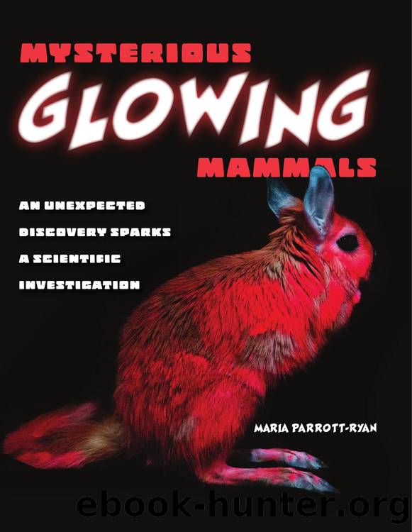 Mysterious Glowing Mammals: An Unexpected Discovery Sparks a Scientific Investigation by Maria Parrott-Ryan