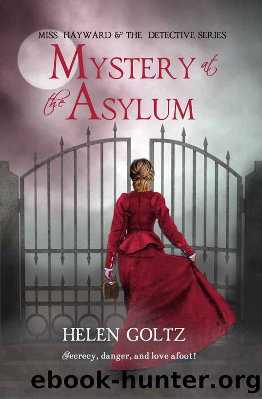 Mystery at the Asylum (Miss Hayward & the Detective series Book 3) by Helen Goltz