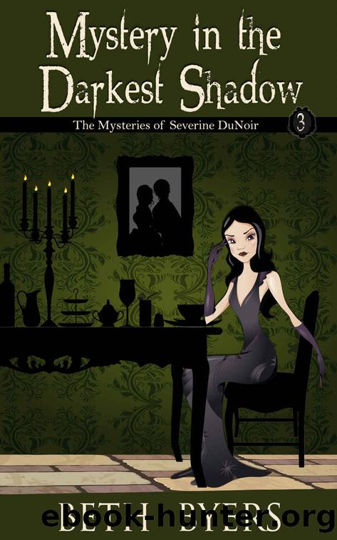 Mystery in the Darkest Shadow by Byers Beth
