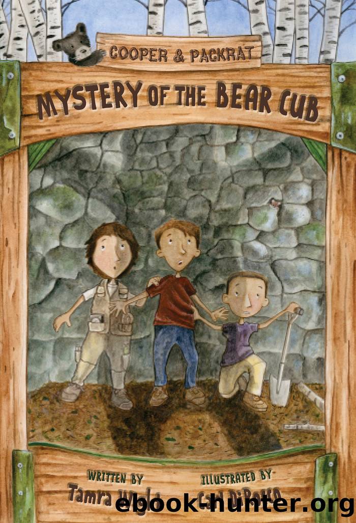 Mystery of the Bear Cub by Tamra Wight
