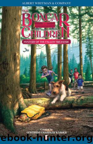 Mystery of the Fallen Treasure by Gertrude Chandler Warner