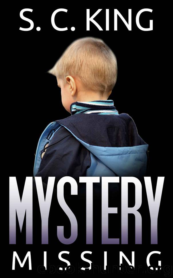 Mystery: Missing Mystery (A Suspense Thriller Mystery novella): (Mystery, Suspense, Thriller, Suspense Thriller Mystery) (Alaska Mysteries Book 1) by King S. C