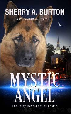 Mystic Angel: Book 8 in The Jerry McNeal Series (A Paranormal Snapshot) by Sherry A. Burton