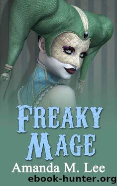Mystic Caravan 11 - Freaky Mage by Amanda M. Lee