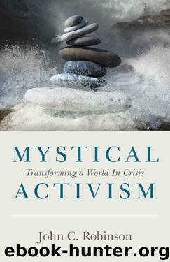 Mystical Activism by John C. Robinson