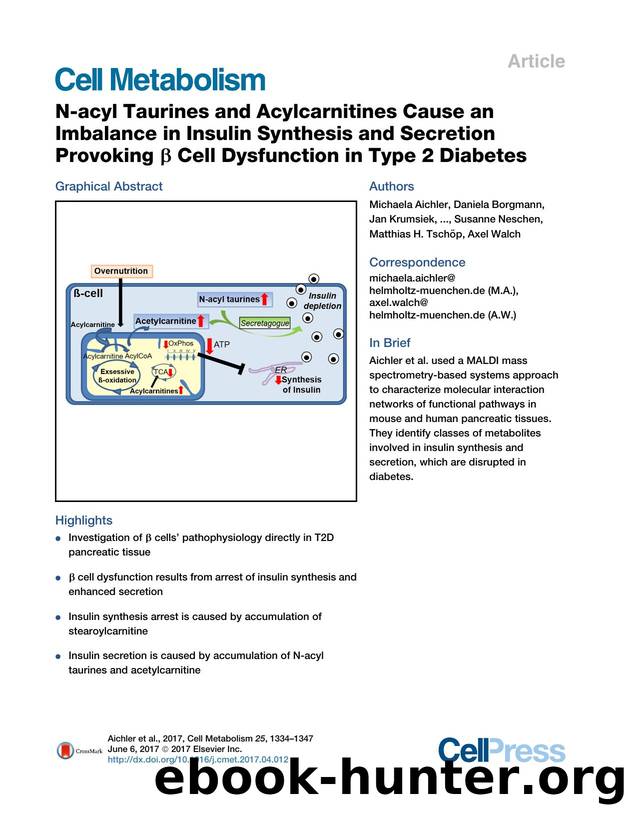 N-acyl Taurines and Acylcarnitines Cause an Imbalance in Insulin Synthesis and Secretion Provoking &beta; Cell Dysfunction in Type 2 Diabetes by unknow