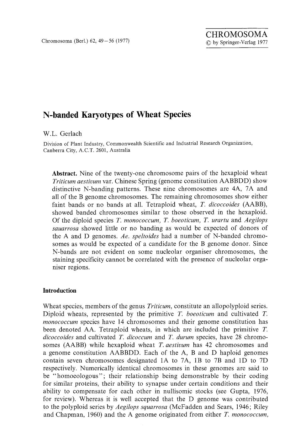 N-banded karyotypes of wheat species by Unknown