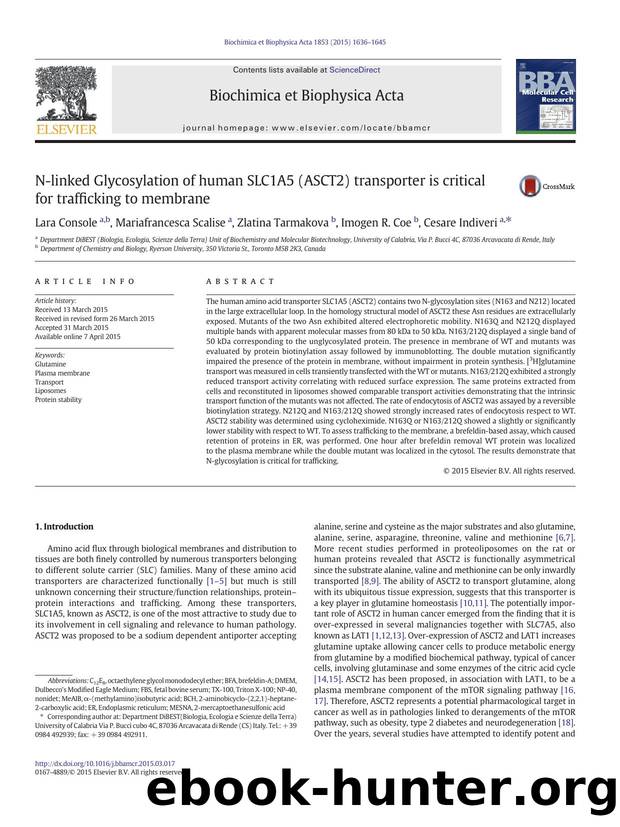 N-linked Glycosylation of human SLC1A5 (ASCT2) transporter is critical for trafficking to membrane by Lara Console & Mariafrancesca Scalise & Zlatina Tarmakova & Imogen R. Coe & Cesare Indiveri