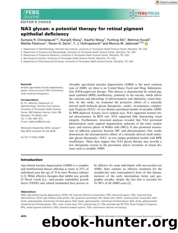 NA3 glycan: a potential therapy for retinal pigment epithelial deficiency by Unknown