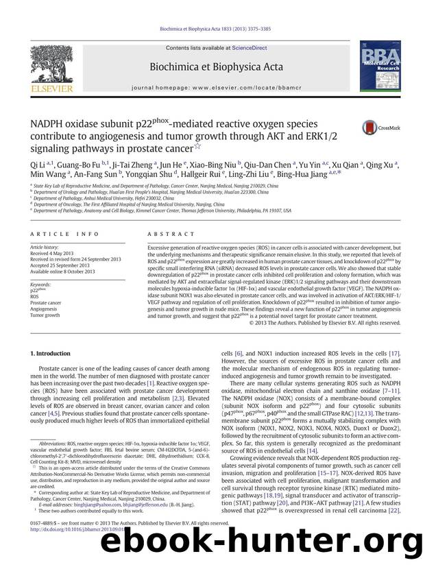 NADPH oxidase subunit p22phox-mediated reactive oxygen species contribute to angiogenesis and tumor growth through AKT and ERK12 signaling pathways in prostate cancer by unknow