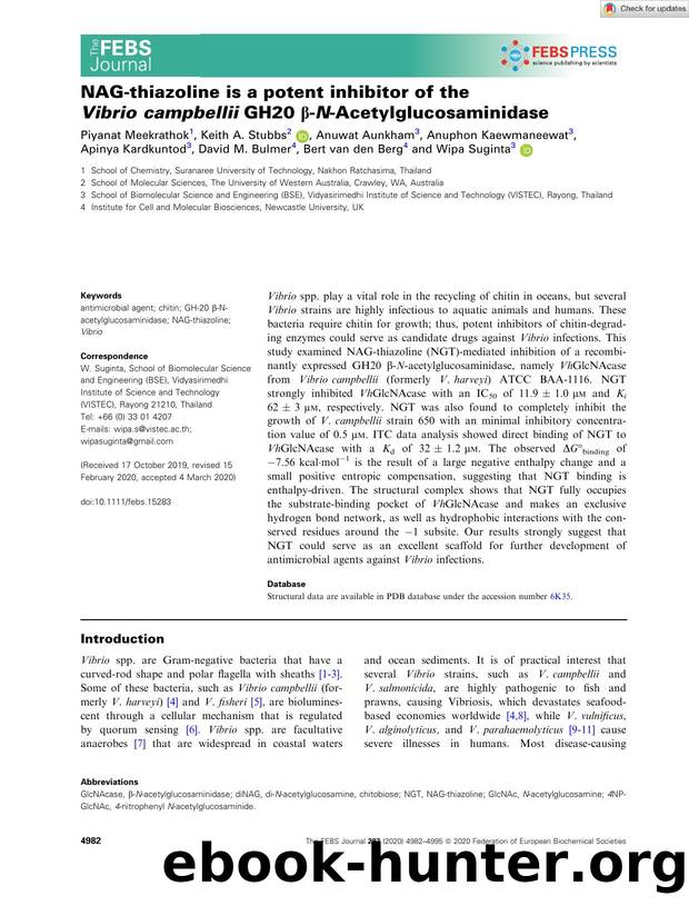 NAGâthiazoline is a potent inhibitor of the VibrioÂ campbellii GH20 Î²âNâAcetylglucosaminidase by Unknown