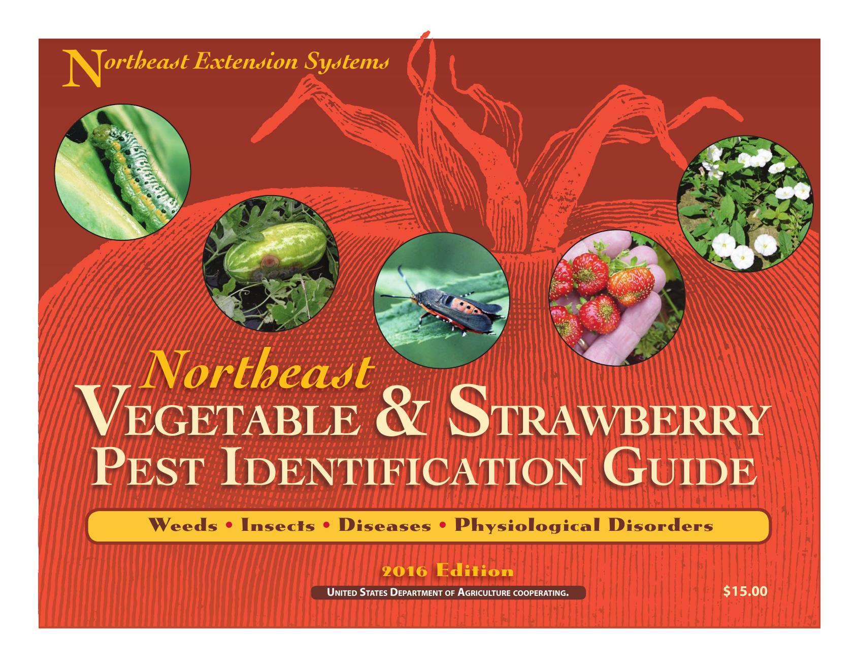 NE Vegetable and Strawberry Pest Guide by Unknown
