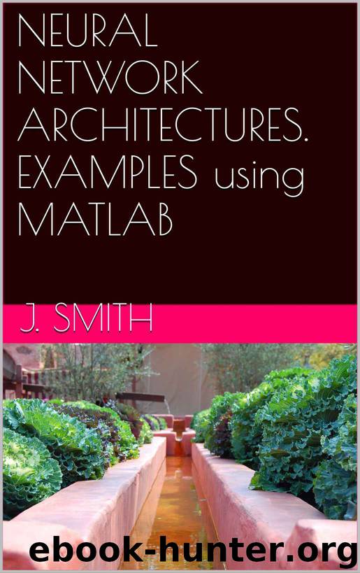 NEURAL NETWORK ARCHITECTURES. EXAMPLES using MATLAB by J. Smith