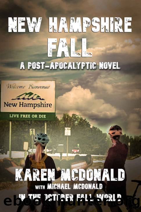 NEW HAMPSHIRE FALL by unknow