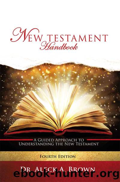 NEW TESTAMENT HANDBOOK: A Guided Approach to Understanding the New Testament by Brown Dr. Aleck A