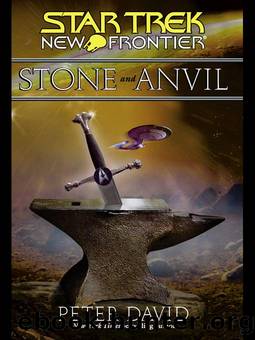 NF 14 - Stone And Anvil (c) by Star Trek