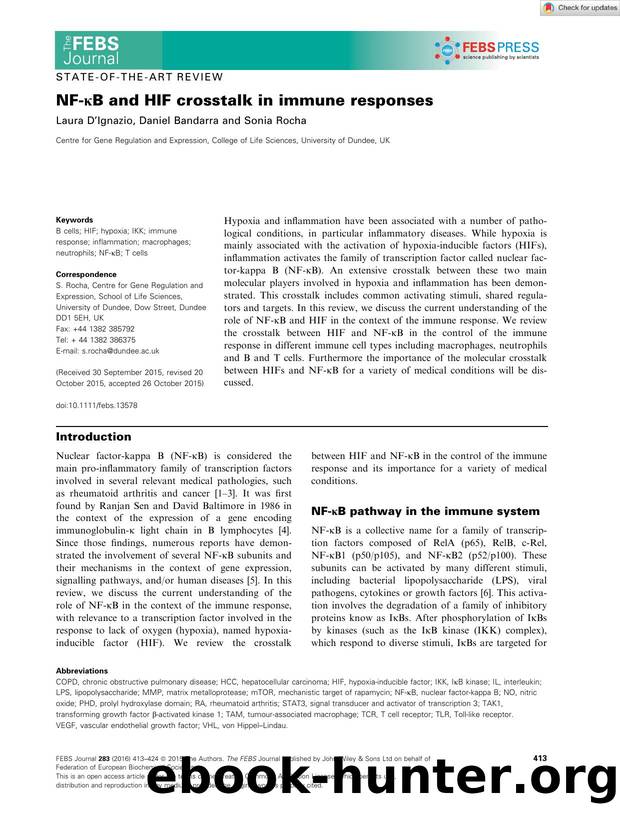 NFâÎºB and HIF crosstalk in immune responses by Unknown