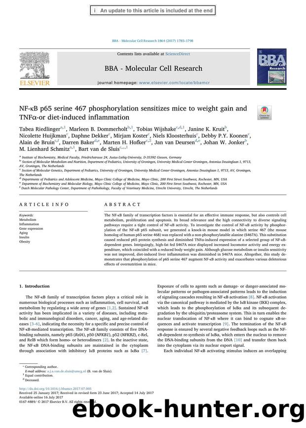 NF-ÎºB p65 serine 467 phosphorylation sensitizes mice to weight gain and TNFÎ±-or diet-induced inflammation by unknow