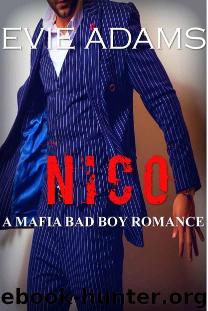 NICO by Evie Adams