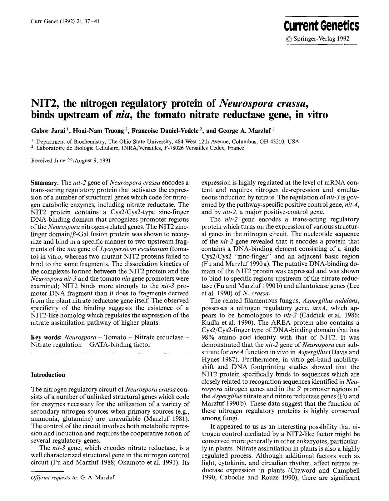 NIT2, the nitrogen regulatory protein of <Emphasis Type="Italic">Neurospora crassa<Emphasis>, binds upstream of <Emphasis Type="Italic">nia<Emphasis>, the tomato nitrate reductase gene, in vitro by Unknown