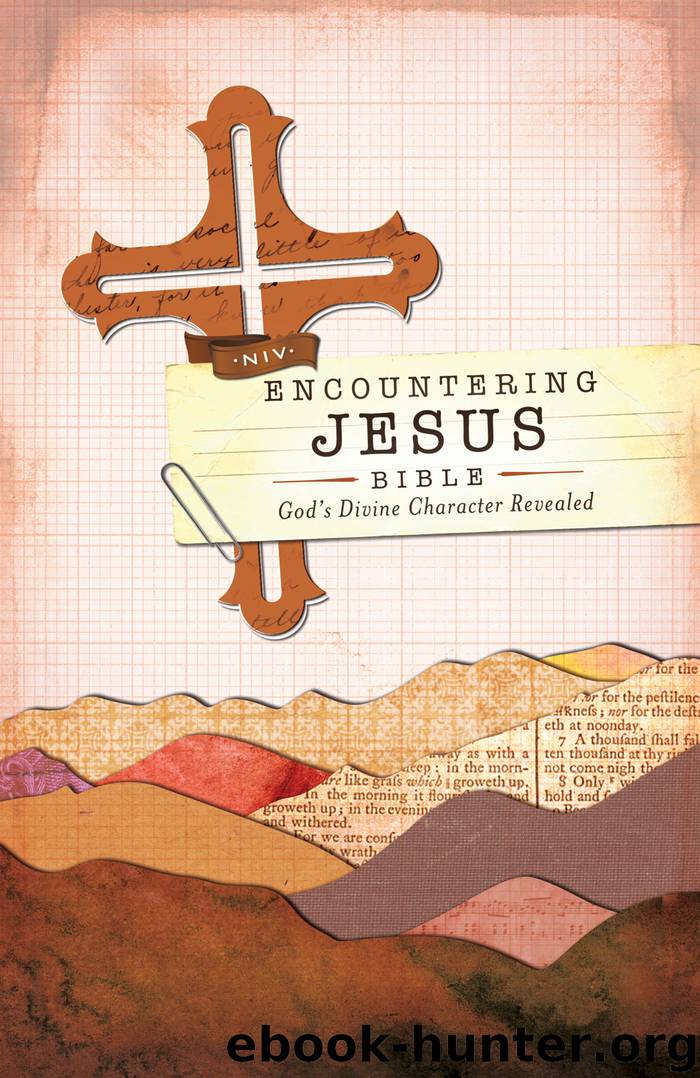 NIV, Encountering Jesus Bible, eBook by Zondervan Francis Chan