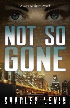 NOT SO GONE: A Sam Sunborn Novel by Charles Levin