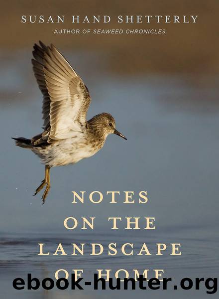 NOTES ON THE LANDSCAPE OF HOME by SUSAN HAND SHETTERLY