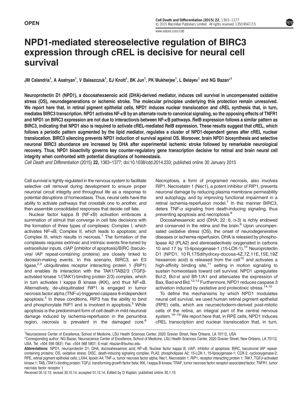 NPD1-mediated stereoselective regulation of BIRC3 expression through cREL is decisive for neural cell survival by unknow