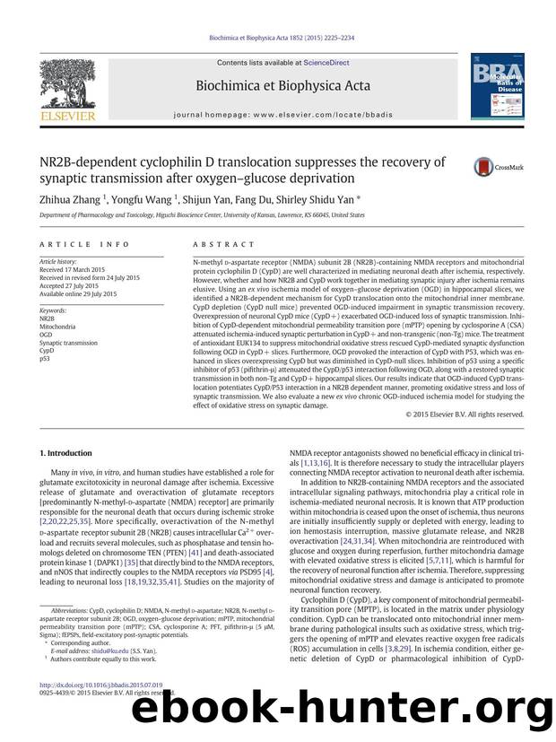 NR2B-dependent cyclophilin D translocation suppresses the recovery of synaptic transmission after oxygenâglucose deprivation by Zhihua Zhang & Yongfu Wang & Shijun Yan & Fang Du & Shirley Shidu Yan