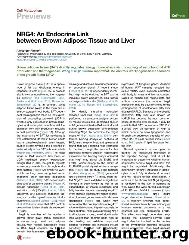 NRG4: An Endocrine Link between Brown Adipose Tissue and Liver by Alexander Pfeifer