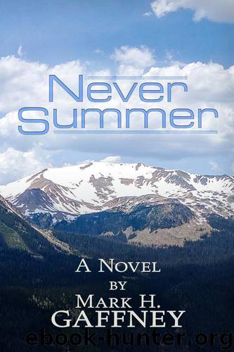 NSummer by Never Summer (retail) (epub)