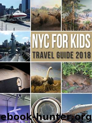 NYC For Kids by Mobile Library