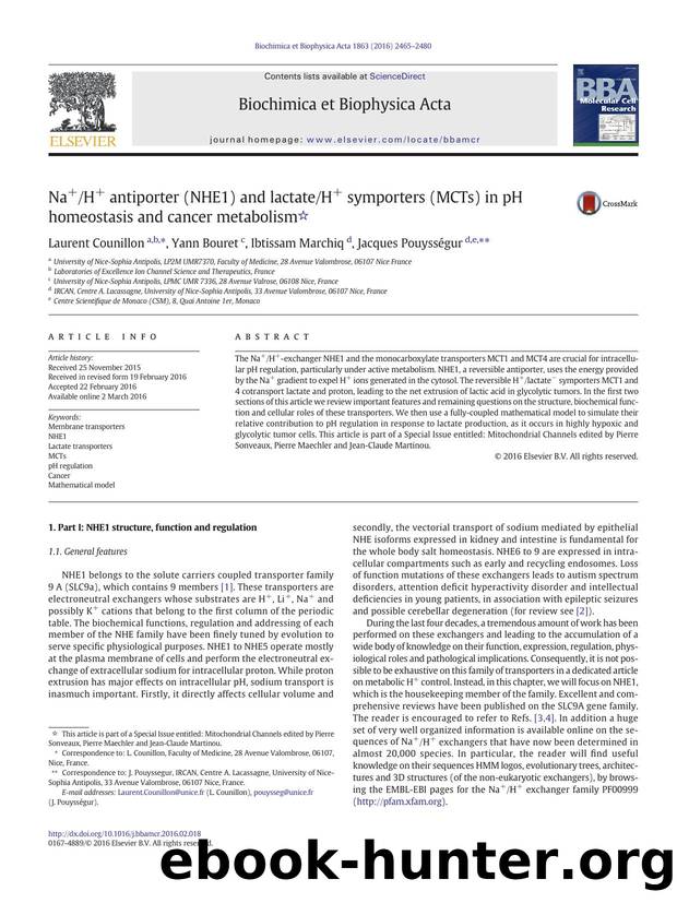 Na+H+ antiporter (NHE1) and lactateH+ symporters (MCTs) in pH homeostasis and cancer metabolism by Laurent Counillon & Yann Bouret & Ibtissam Marchiq & Jacques Pouysségur