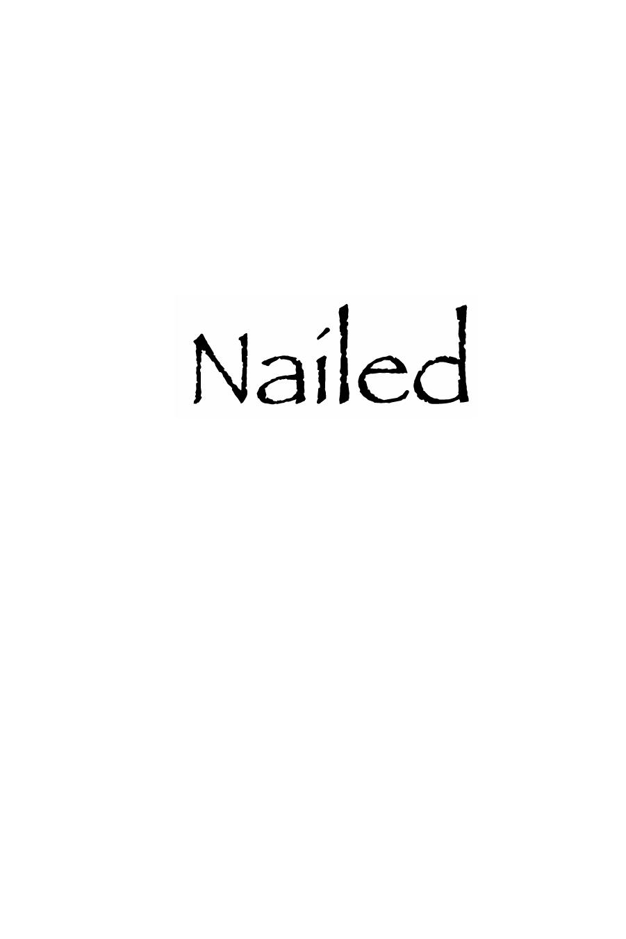 Nailed: Ten Christian Myths That Show Jesus Never Existed at All by David Fitzgerald