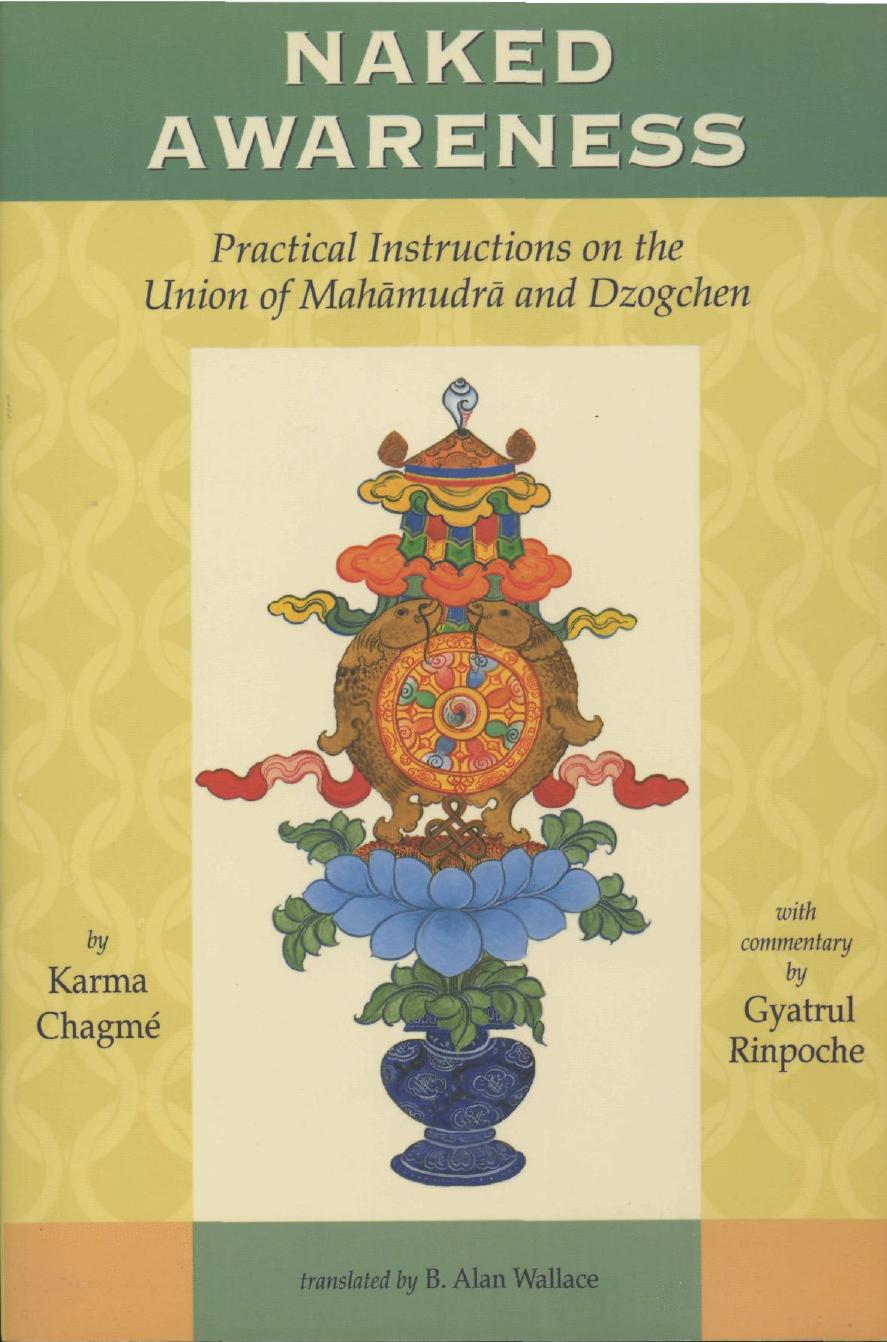 Naked Awareness: Practical Instructions on the Union of Mahamudra and Dzogchen by Karma Chagme
