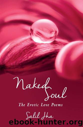 Naked Soul: The Erotic Love Poems by Jha Salil
