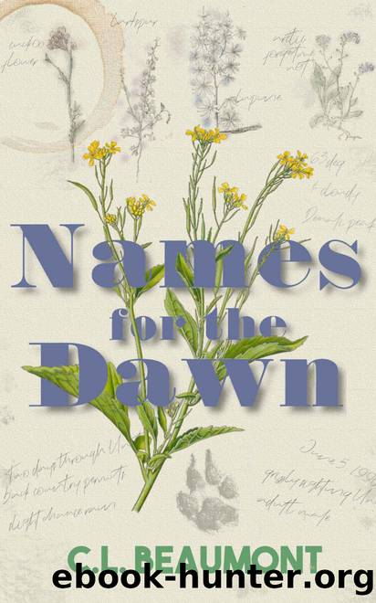 Names for the Dawn by C.L. Beaumont