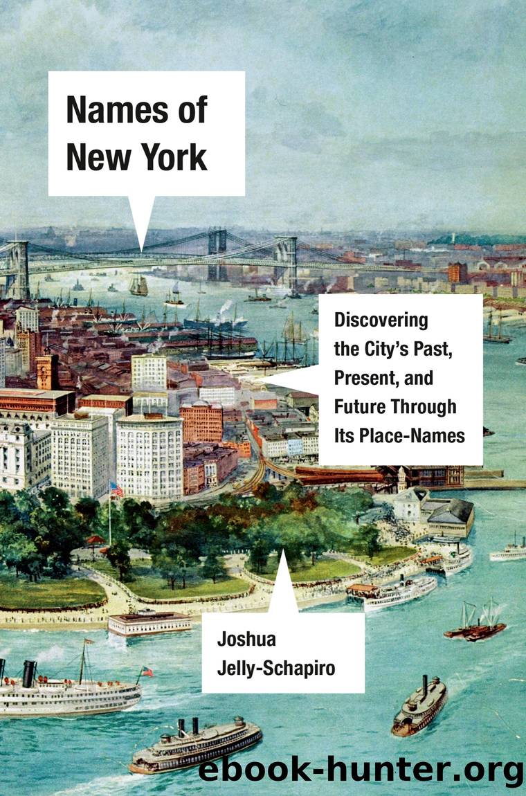 Names of New York by Joshua Jelly-Schapiro