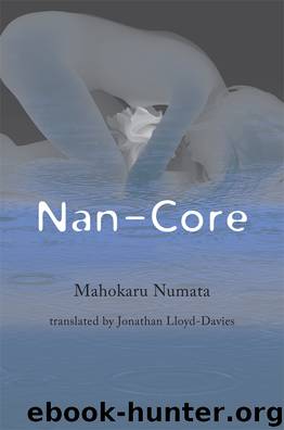 Nan-Core by Mahokaru Numata