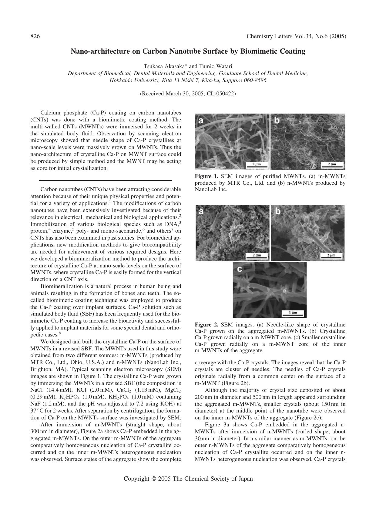 Nano-architecture on Carbon Nanotube Surface by Biomimetic Coating by Tsukasa Akasaka and Fumio Watari