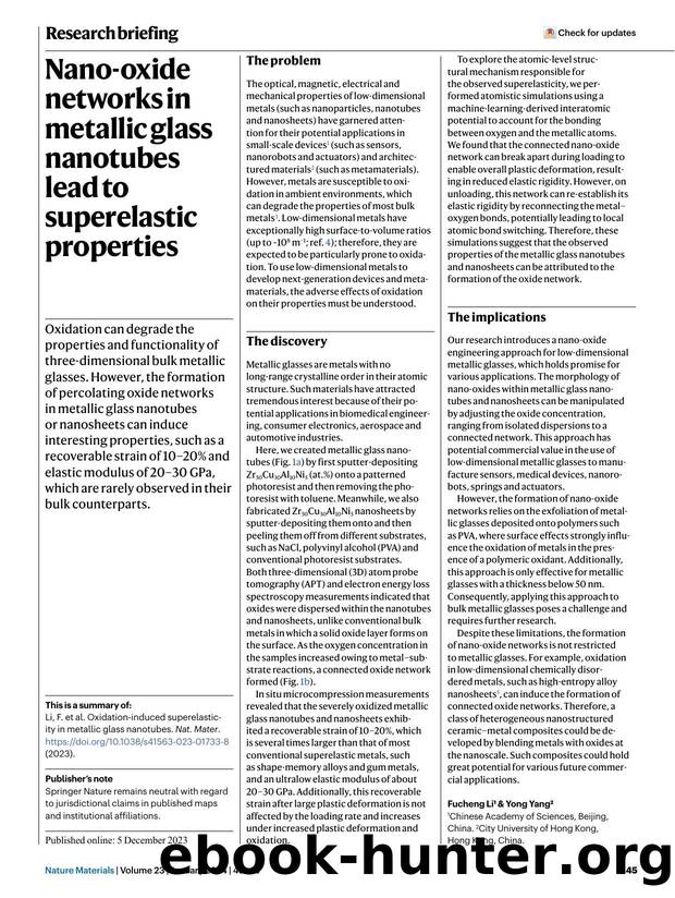 Nano-oxide networks in metallic glass nanotubes lead to superelastic properties by Unknown