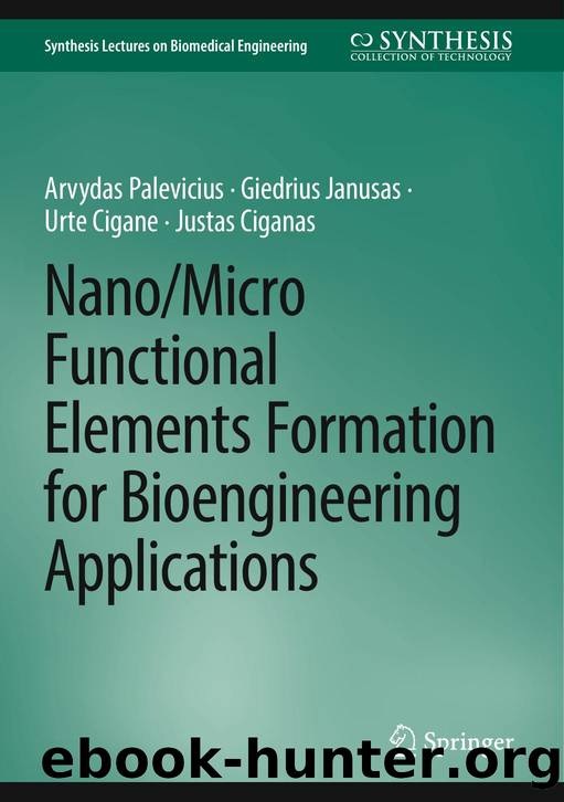 NanoMicro Functional Elements Formation for Bioengineering Applications by Arvydas Palevicius · Giedrius Janusas · Urte Cigane · Justas Ciganas