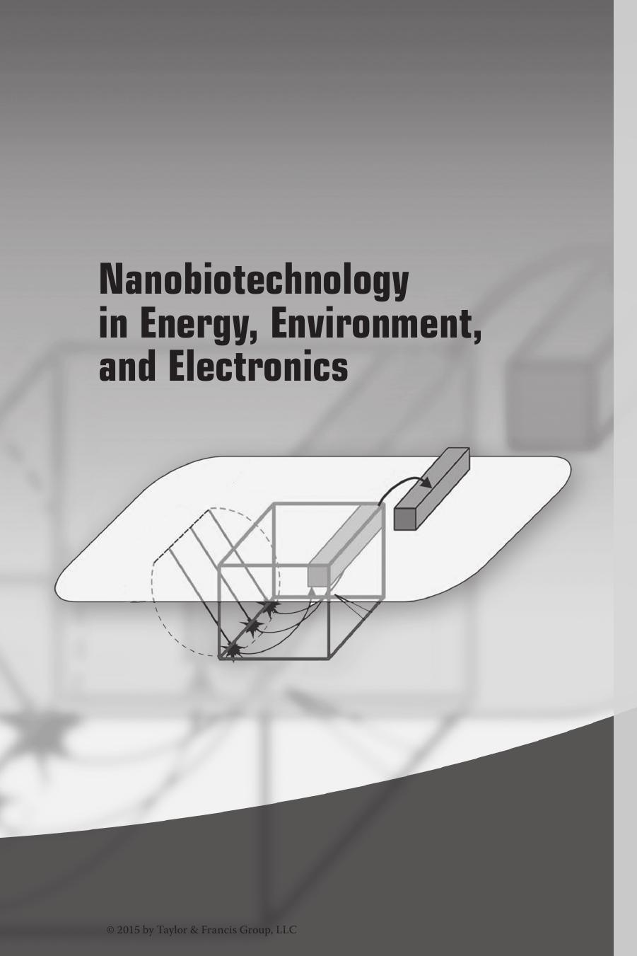 Nanobiotechnology in Energy, Environment and Electronics: Methods and Application by Nicolini Claudio
