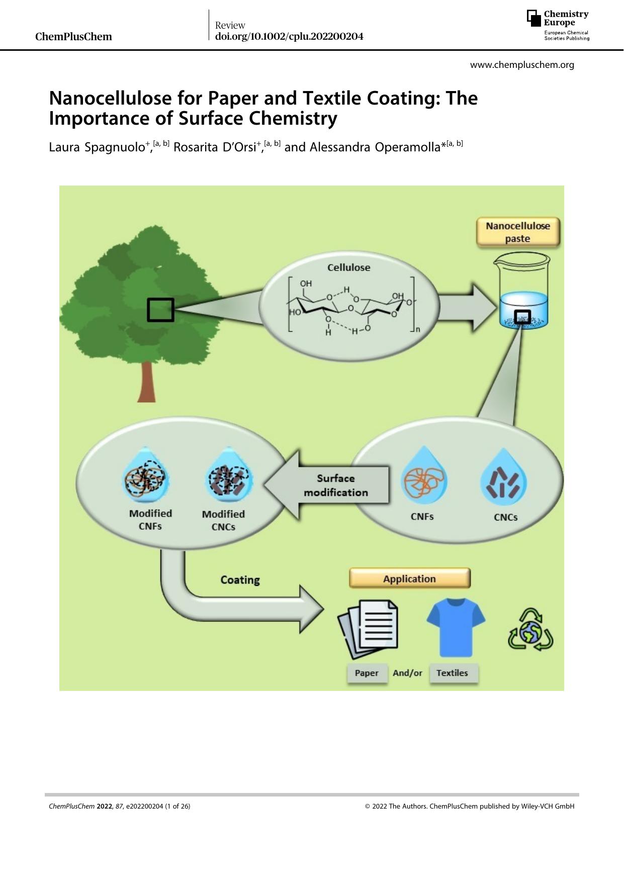 Nanocellulose for Paper and Textile Coating: The Importance of Surface Chemistry by Unknown