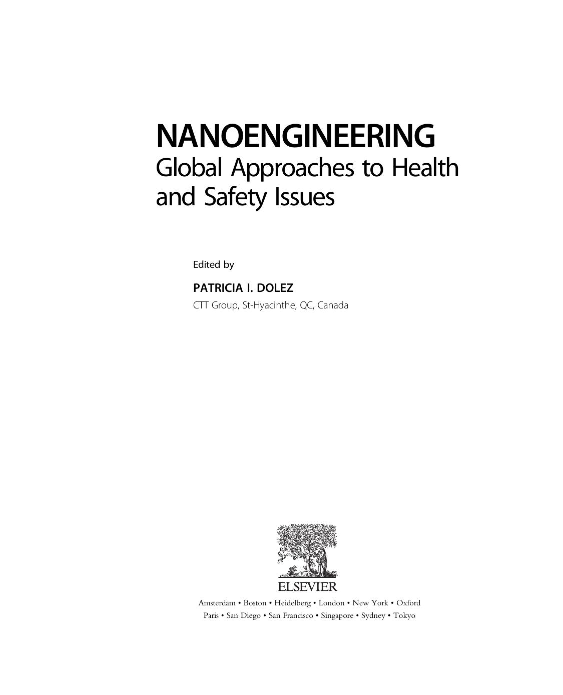 Nanoengineering: Global Approaches to Health and Safety Issues by Patricia I. Dolez