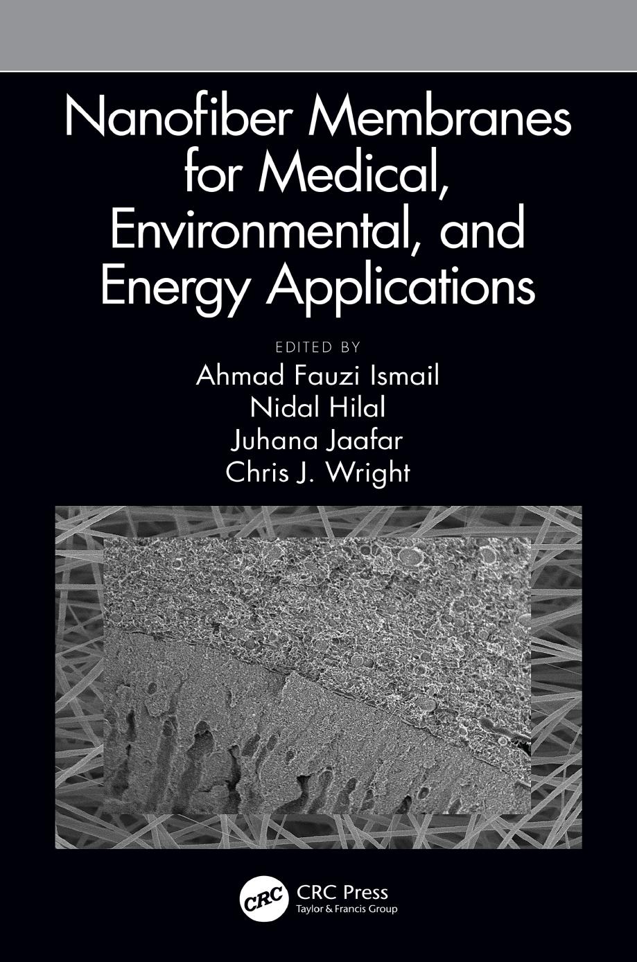 Nanofiber Membranes for Medical, Environmental, and Energy Applications by Ahmad Fauzi Ismail & Nidal Hilal & Juhana Jaafar and Chris J. Wright
