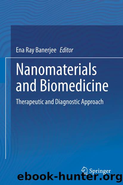 Nanomaterials and Biomedicine by Unknown