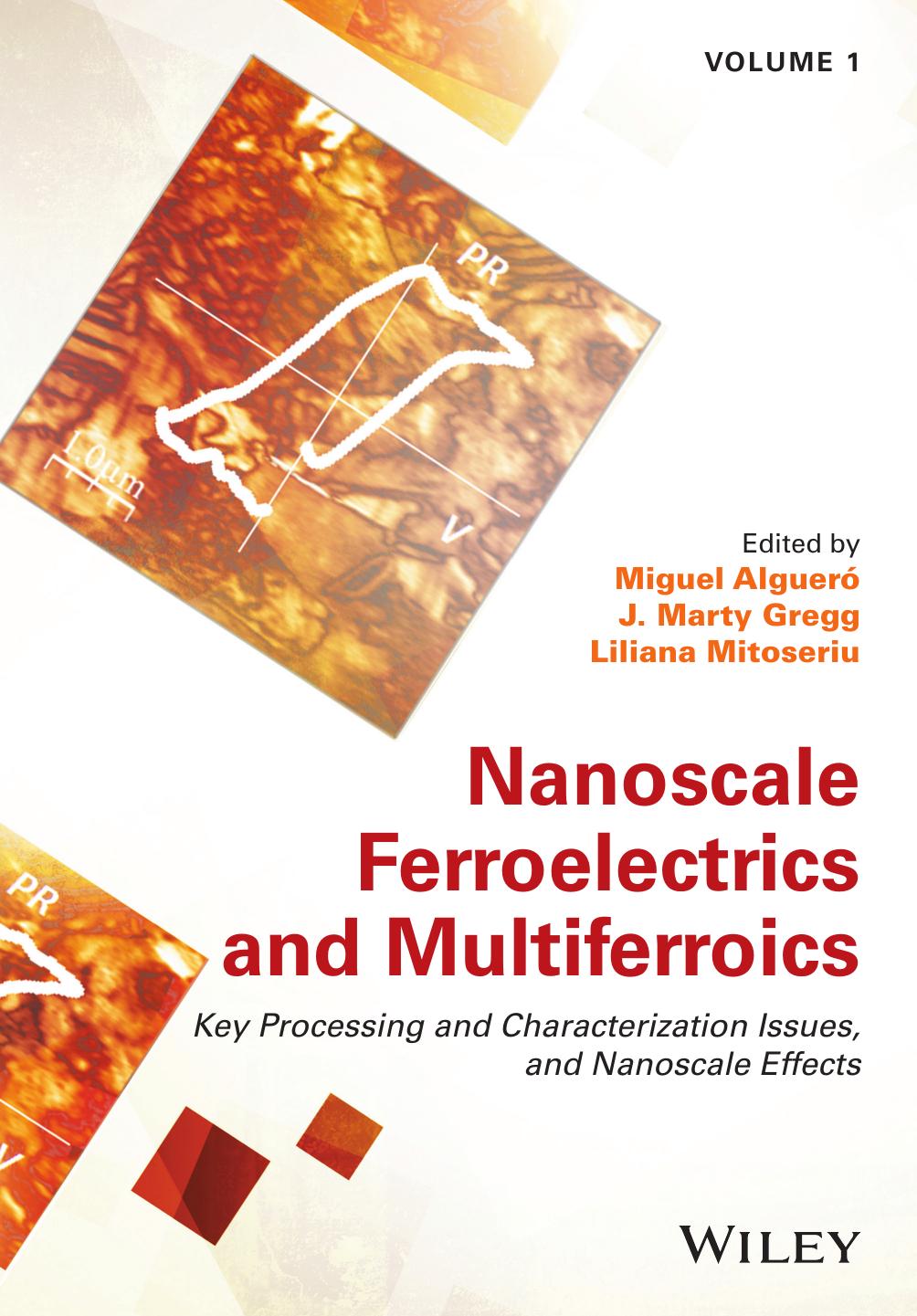 Nanoscale Ferroelectrics and Multiferroics: Key Processing and Characterization Issues, and Nanoscale Effects by Miguel Alguero J. Marty Gregg Liliana Mitoseriu