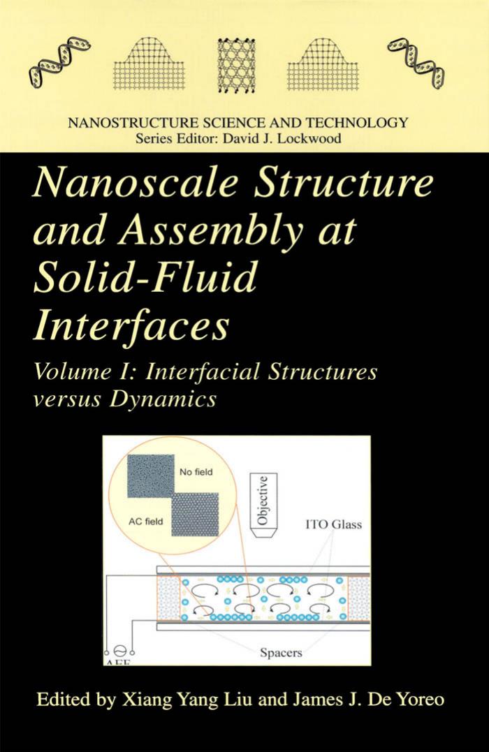 Nanoscale Structure and Assembly at Solid-Fluid Interfaces Vol. 1 by Interfacial Structures Versus Dynamics (2004)